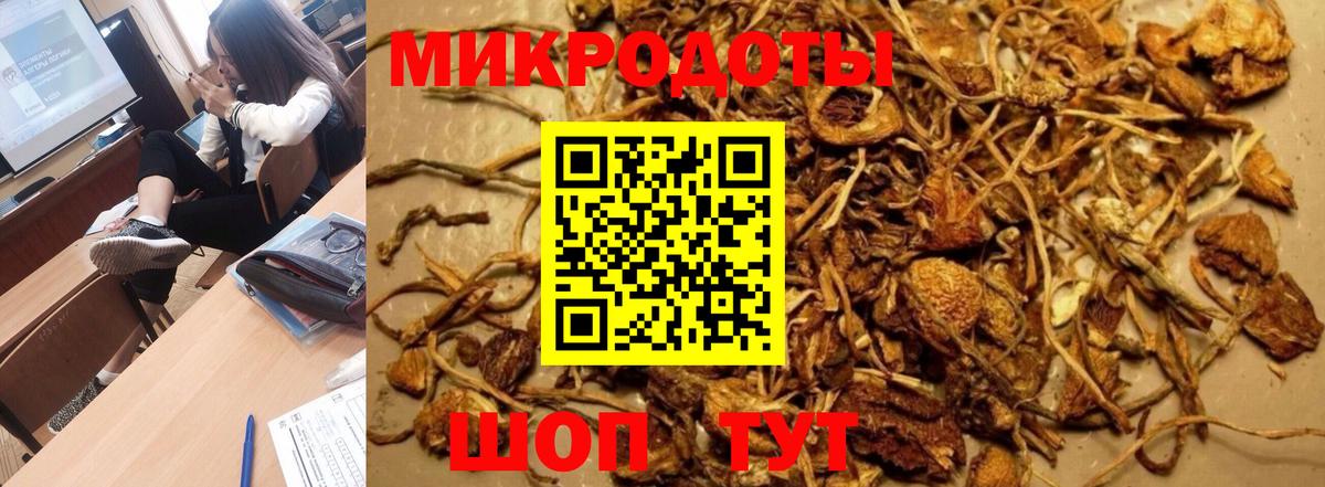 Галлюциногенные грибы Magic Shrooms Павлово