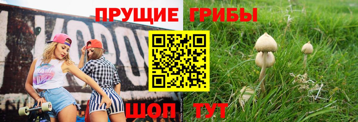 Псилоцибиновые грибы мухоморы  Вход с VPN  Павлово 